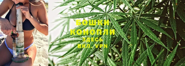 прущие крисы Козловка