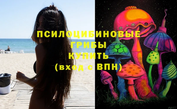 бошки Кодинск