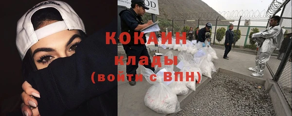 прущие крисы Козловка